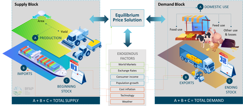 Supply and demand balance model